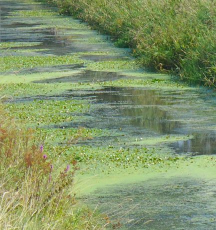 Leben ist wie ein Fluss. Darum unser Wasser nie am Fließen hindern!