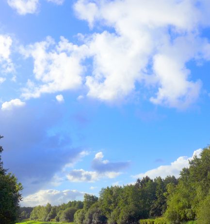 Wer zwischen Wolken nach Regenbogen oder Vögeln sucht, verpasst Grün!