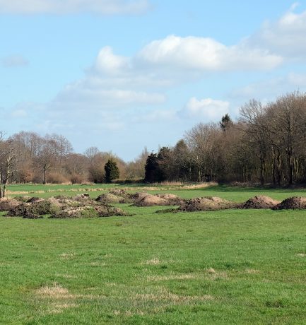 Nr. 2: Bauernlandschaft mit Sandhaufen und Bäumen