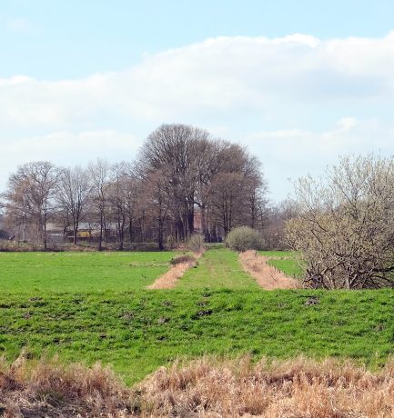 Nr. 1: Bauernlandschaft zwischen Gras und Bäumen