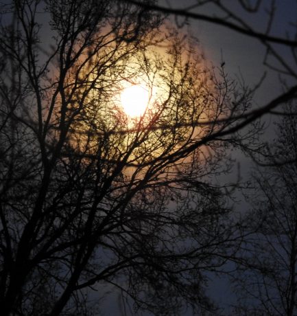 Jetzt lebt der Weihnachtsmond!