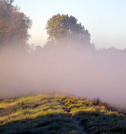 Vor und hinter der Nebelwand eine Welt mit Respekt