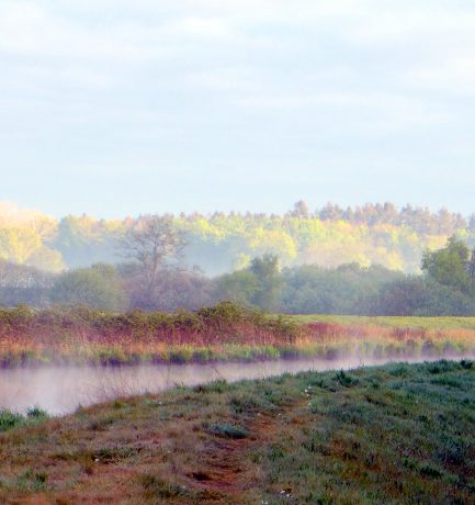 Schichtung in der Natur überlappt