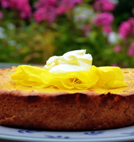 Lass’ es Dir schmecken: Ein paar Wochen im Jahr Obstkuchen mit Rosenacht !