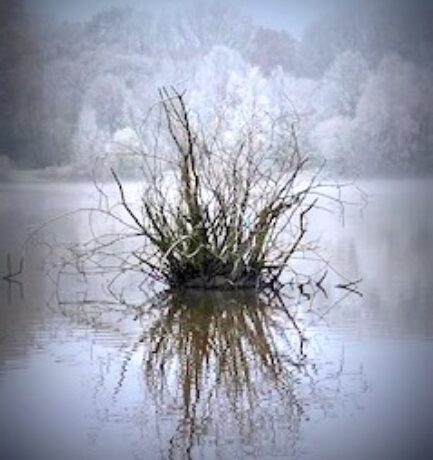 Duck dich, lass‘ vorübergahn. Das Wetter will seinen Willen han. (Sprichwort)