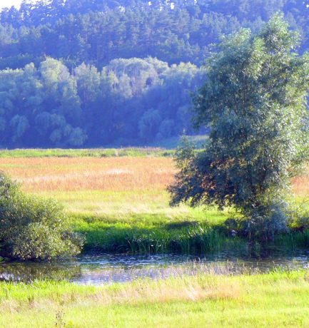 Erinnern heißt auswählen.